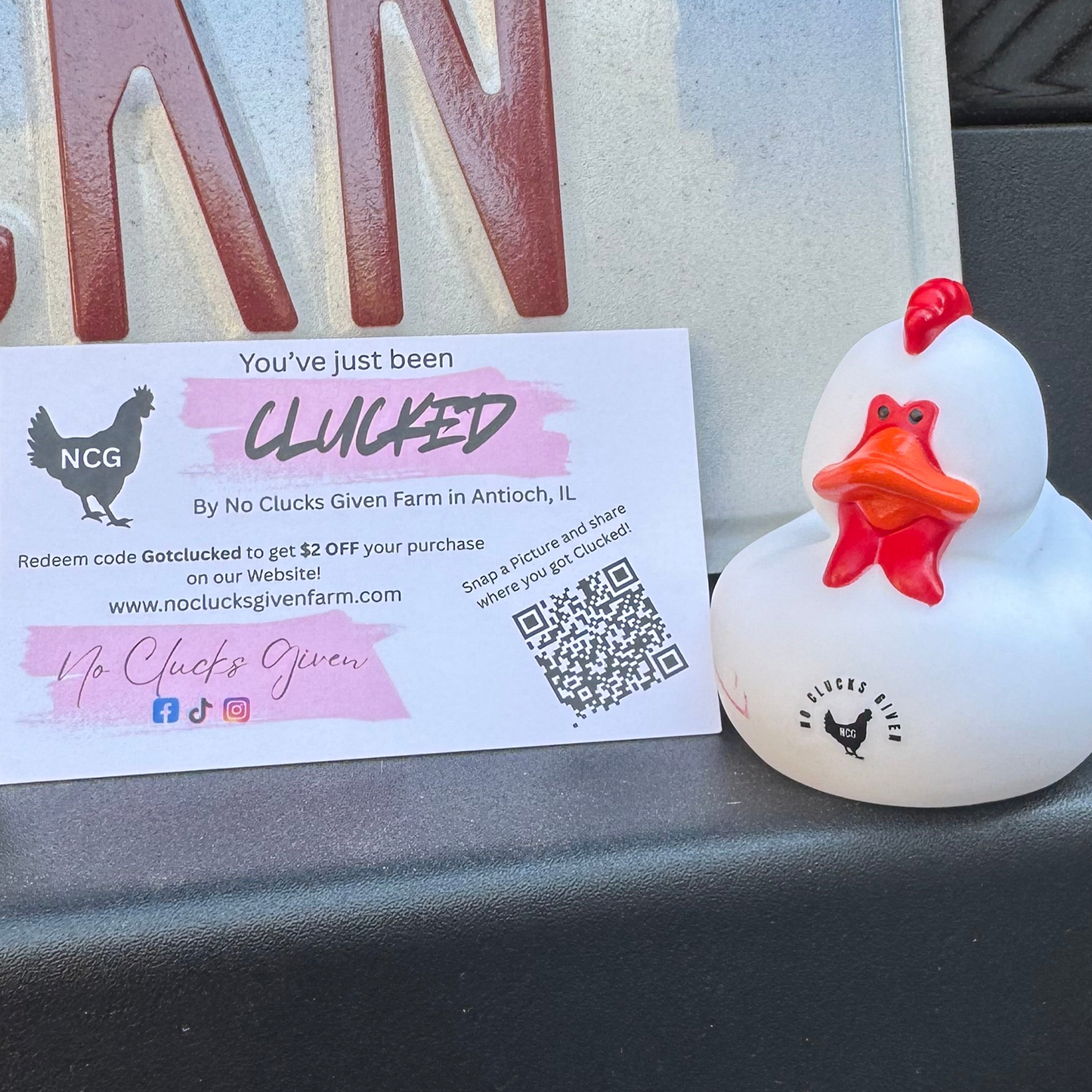 NCG CHICKEN DUCKS